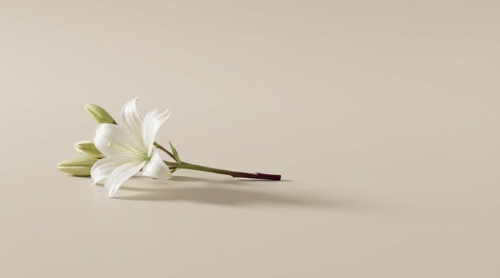 AI Receptionist for Funeral Homes: 2026 Verdict & Guide